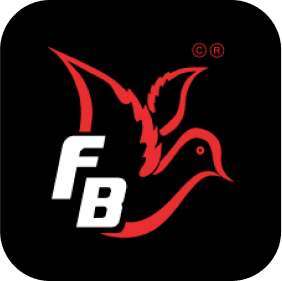 DOWNLOAD_BROCHURE_LOGO_IMG FLYBIRDUK