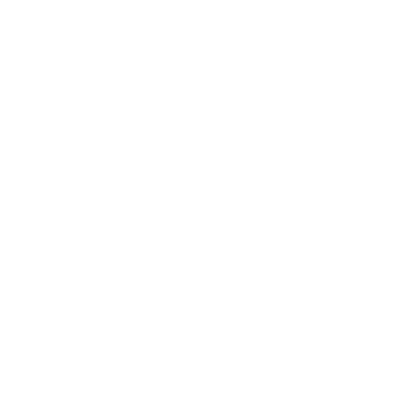 About_Mission_icon FLYBIRDUK