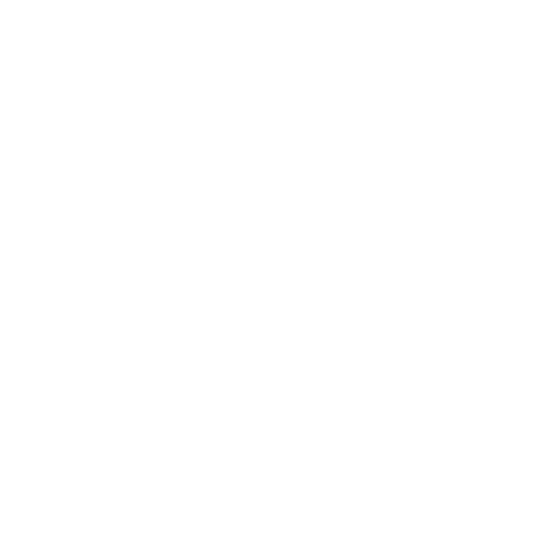 About_Value_icon FLYBIRDUK