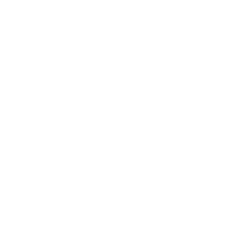 About_vision_icon FLYBIRDUK