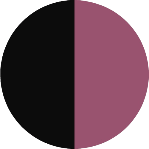 PRODUCT_COLOR_COLECTION_B.GOLDEN FLYBIRDUK