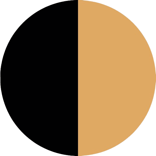 PRODUCT_COLOR_COLECTION_BLACK_+_GOLD FLYBIRDUK