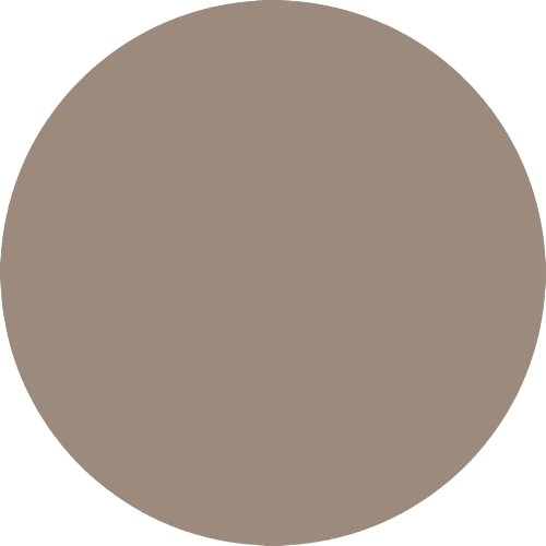 PRODUCT_COLOR_COLECTION_BRUSH FLYBIRDUK