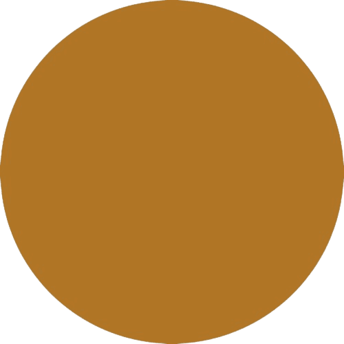 PRODUCT_COLOR_COLECTION_GOLD FLYBIRDUK