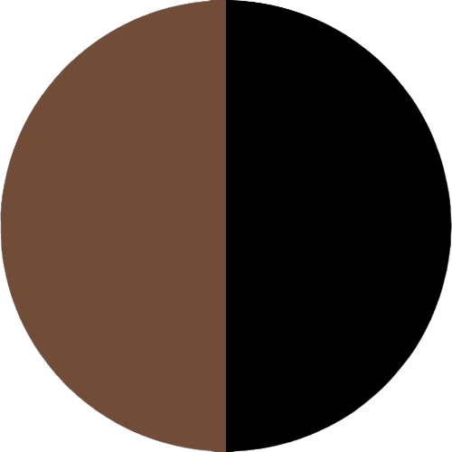 PRODUCT_COLOR_COLLECTION_PVD_GOLD_+_BLACK FLYBIRDUK