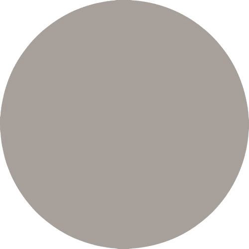 PRODUCT_COLOR_COLECTION_S.S FLYBIRDUK