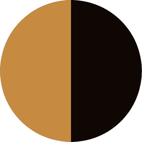 PRODUCT_COLOR_COLECTION_SILK_BLACK.GOLD+PVD_BLACK FLYBIRDUK