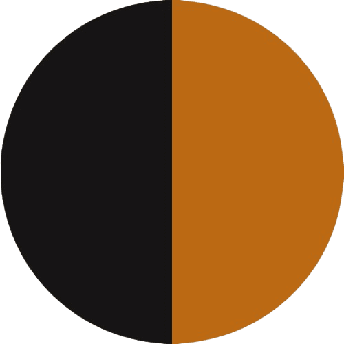 PRODUCT_COLOR_COLECTION_SILK_BLACK+GOLD FLYBIRDUK