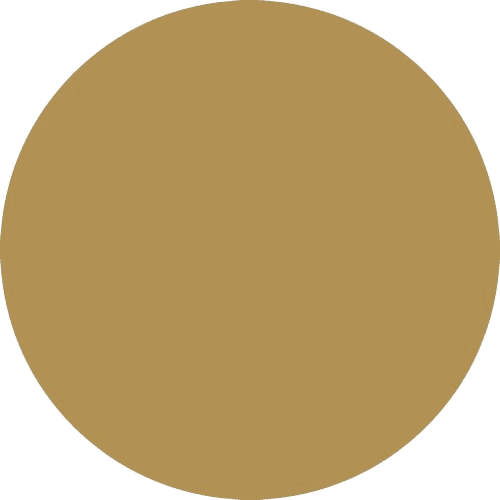 PRODUCT_COLOR_COLECTION_SILK_GOLD FLYBIRDUK