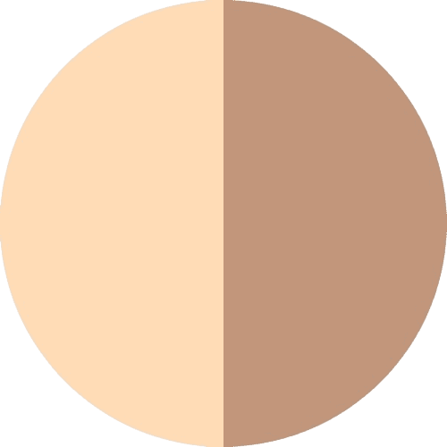 PRODUCT_COLOR_COLECTION_SILK_R_GOLD_+_PVD_R_GOLD FLYBIRDUK