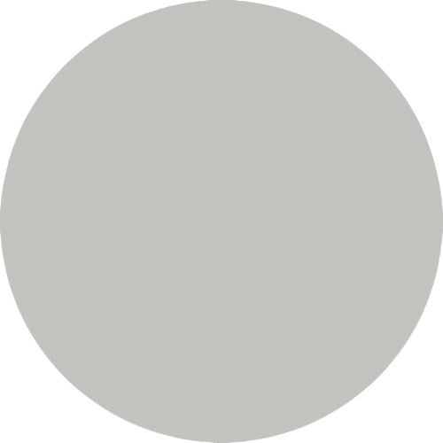 PRODUCT_COLOR_COLECTION_SILK_SS FLYBIRDUK