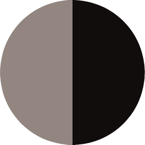 PRODUCT_COLOR_COLLECTION_SILK_SS_+_BLACK FLYBIRDUK