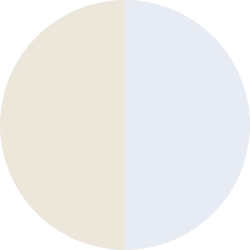 PRODUCT_COLOR_COLLECTION_SILK_SS_+_CP FLYBIRDUK