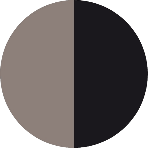 PRODUCT_COLOR_COLECTION_SS_+_BLACK FLYBIRDUK